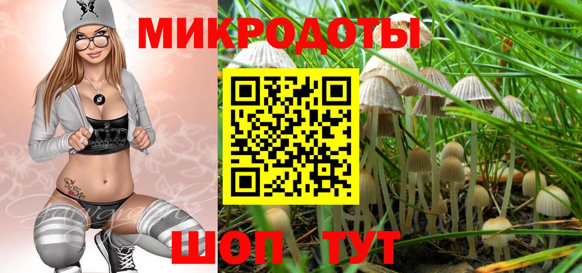 Псилоцибиновые грибы GOLDEN TEACHER Ачинск