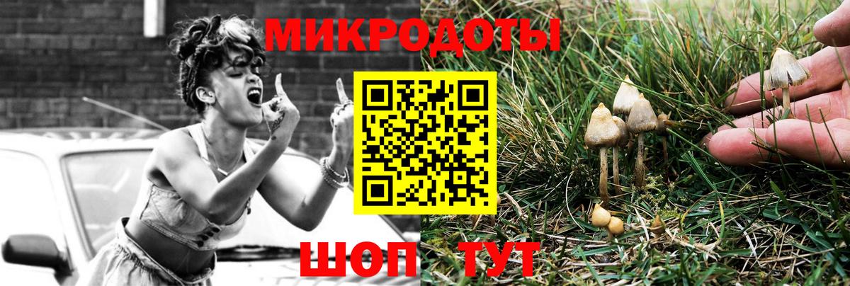Ачинск  Псилоцибиновые грибы Psilocybine cubensis  Вход с VPN 